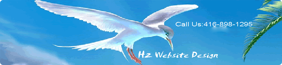 h2 website design